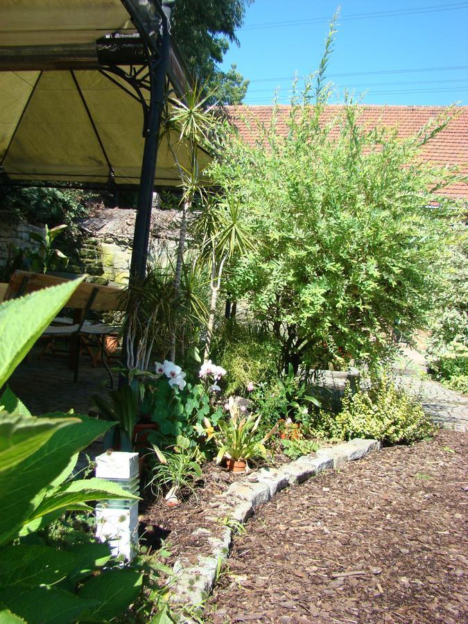 Ferienwohnung Toscana Dresda Exterior foto